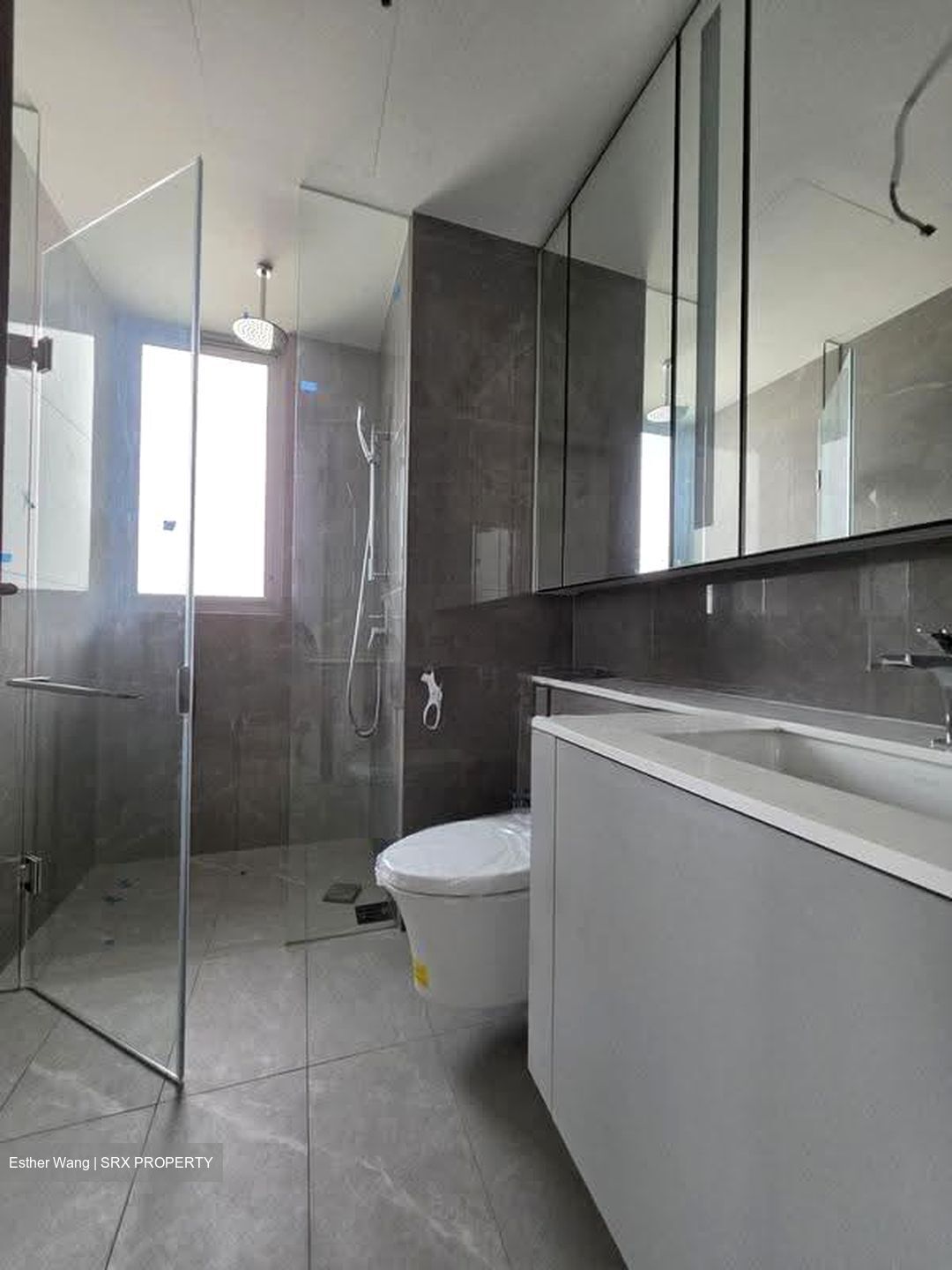 Grand Dunman (D15), Apartment #627957901